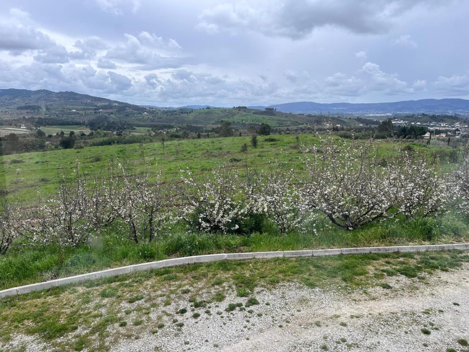 Tranca Da Barriga - Casa Do Vinho By Quinta De Sao Tiago Farm stay