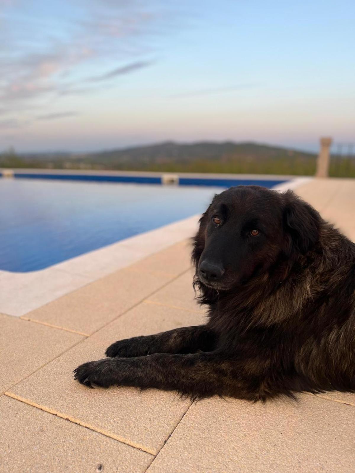 Tranca Da Barriga - Casa Do Vinho By Quinta De Sao Tiago Covilha