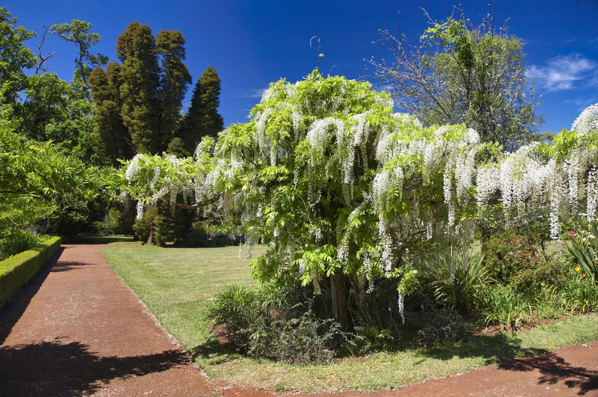 Campo de férias Palheiro Village