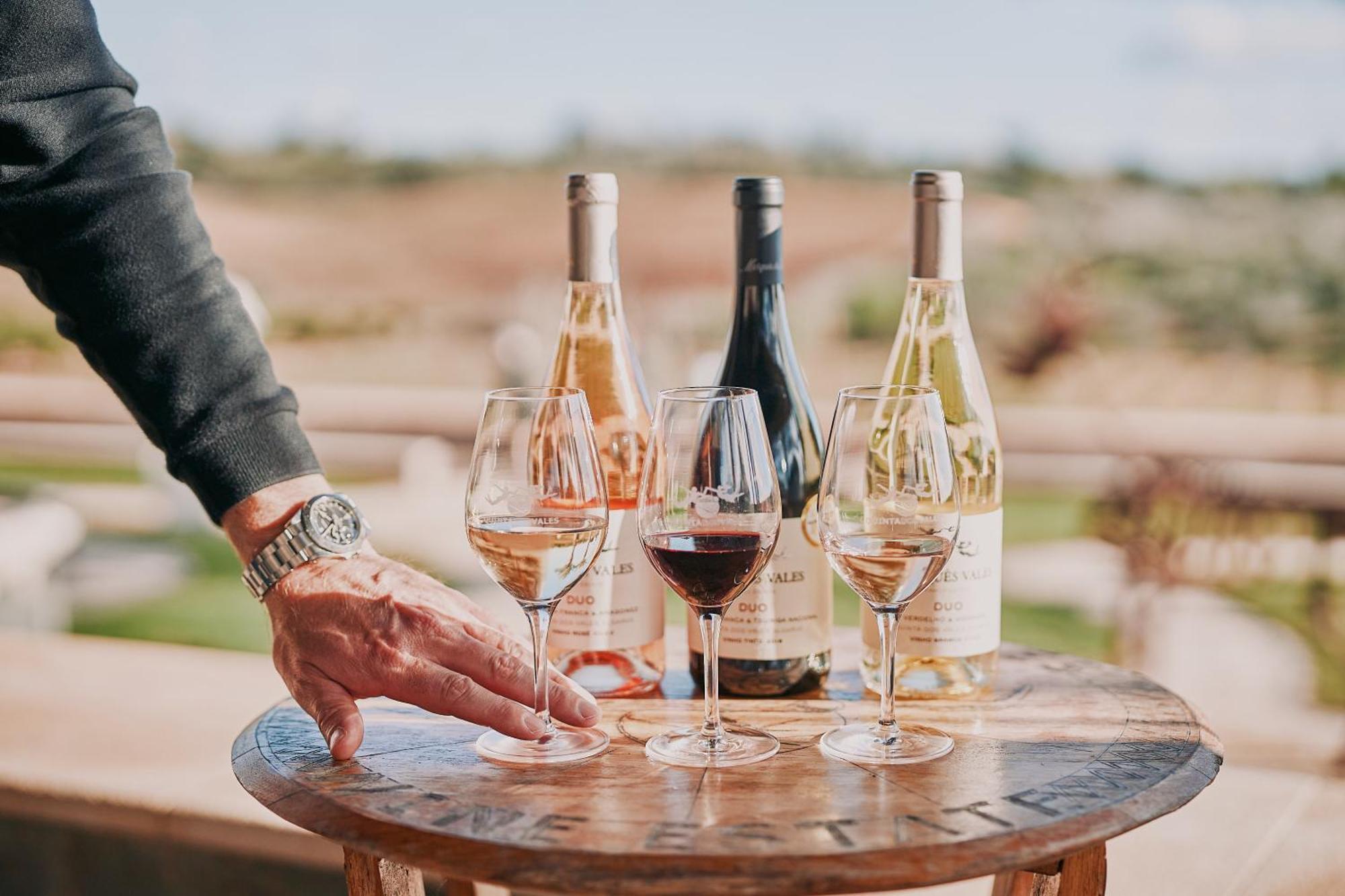 Quinta Dos Vales Wine Estate Country house