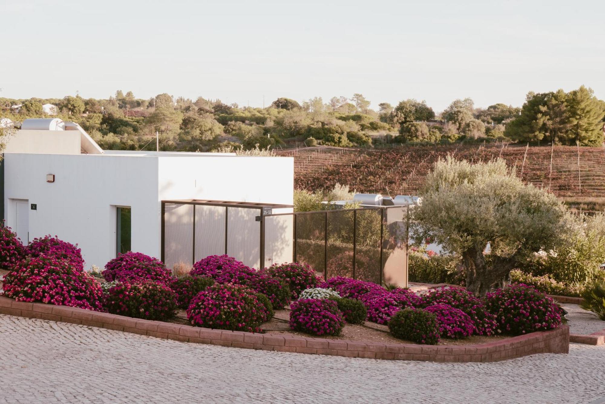 Country house Quinta Dos Vales Wine Estate *