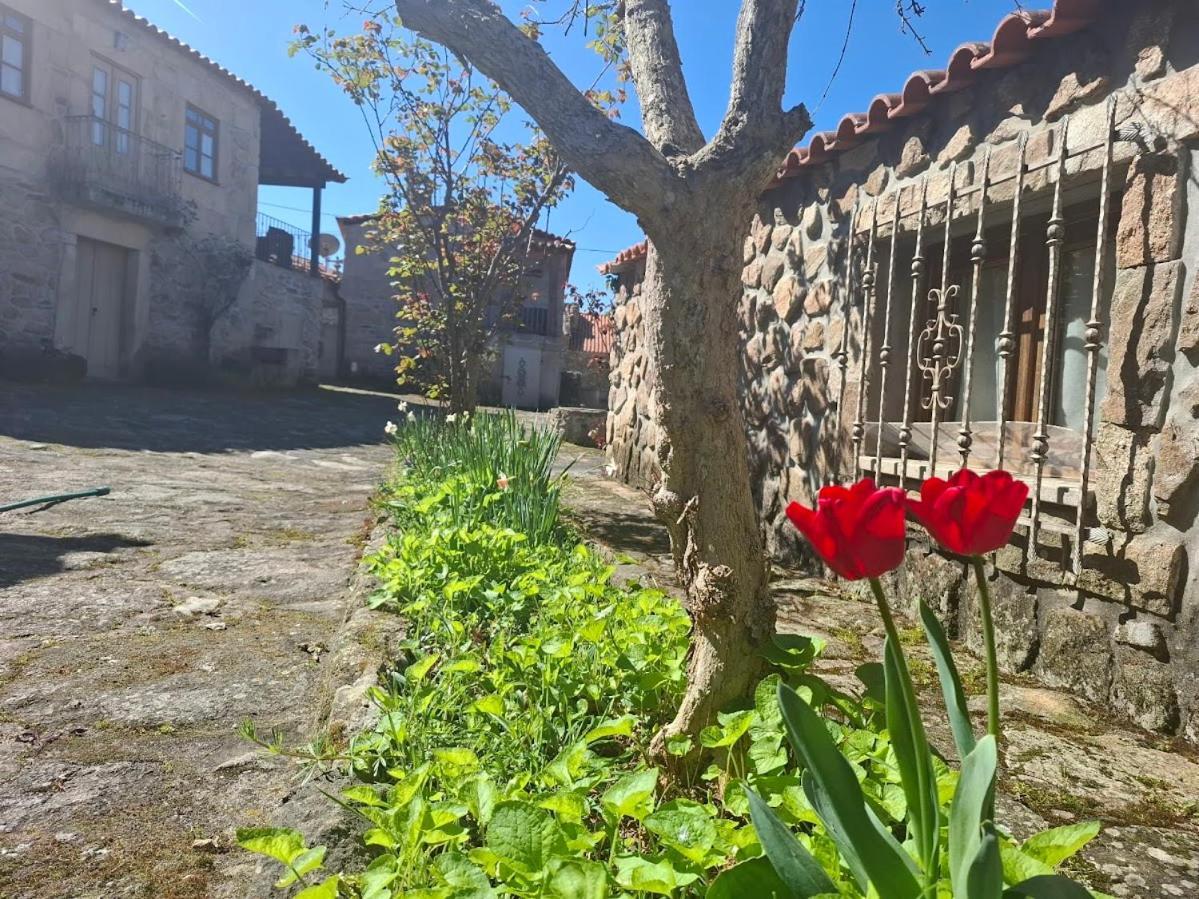 Casas Do - Country 3*