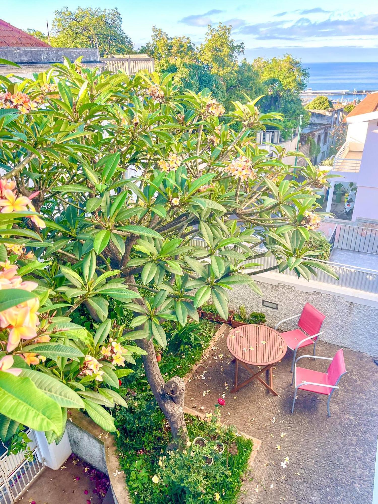 The Luzia House Holiday home Funchal (Madeira)