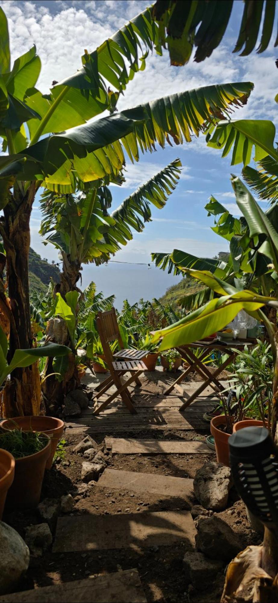 Romantic Glamping Bell Tent With Private Unique Bathroom * Ponta do Sol (Madeira)