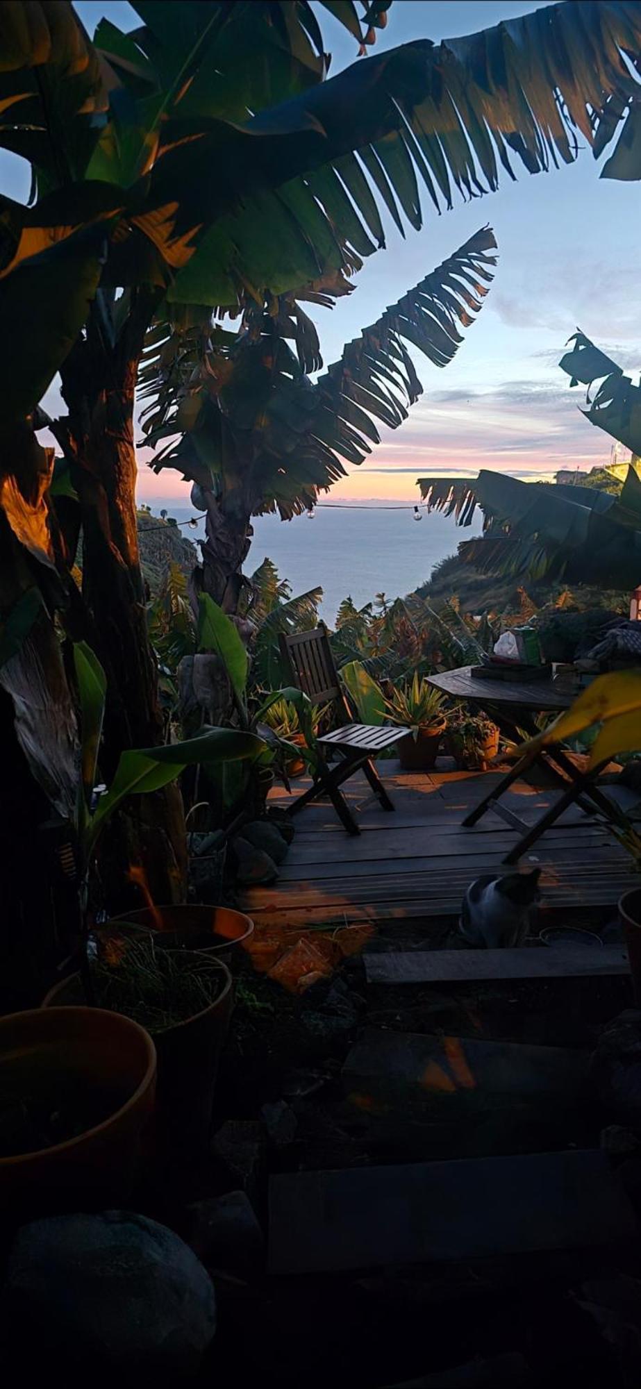 Romantic Glamping Bell Tent With Private Unique Bathroom * Ponta do Sol (Madeira)