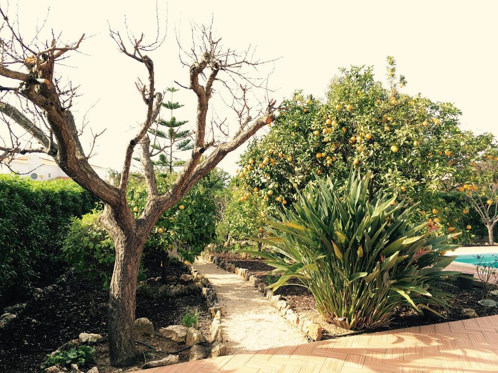 Villa Vilamar *