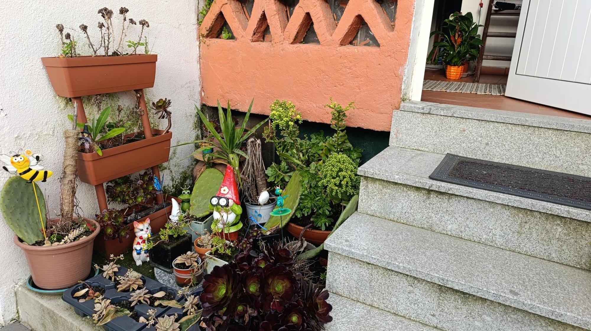 Orion Telhado Chalet Fundão