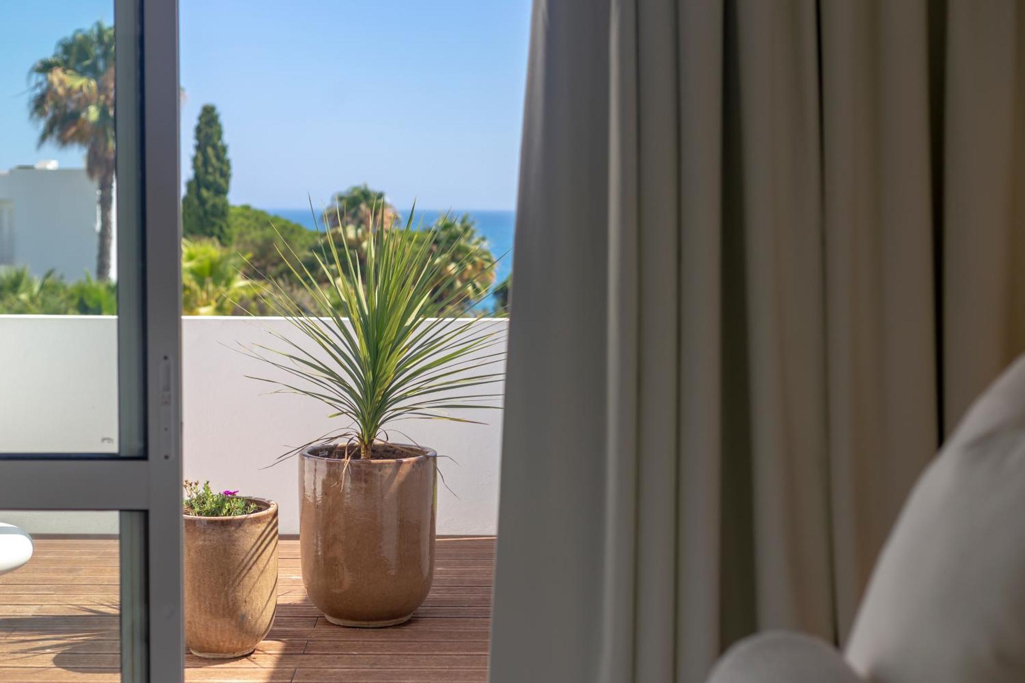 D'agua Beachfront Holiday park