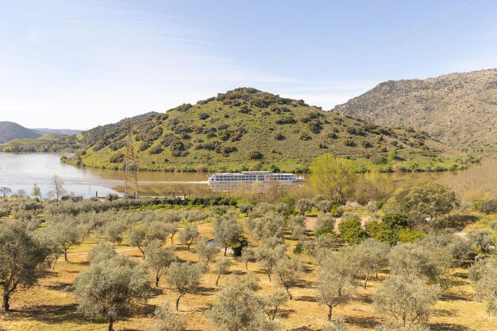 Douro Elegance