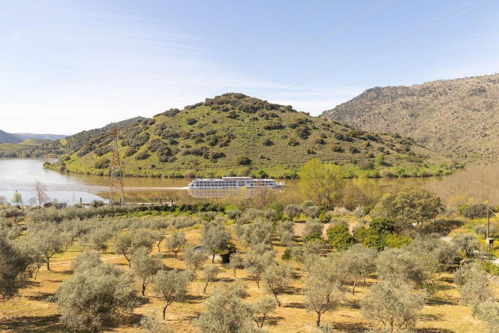 Douro Elegance Country house Torre De Moncorvo