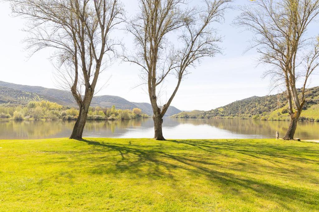 Douro Elegance Country house