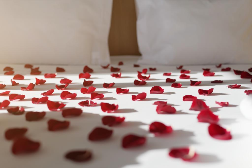Mercure Lisboa