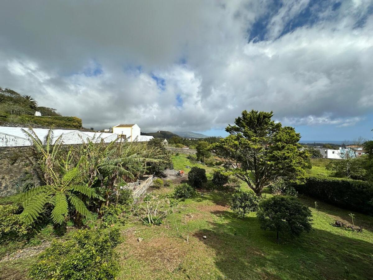 Villa Quinta Ananas Pineapple Farm
