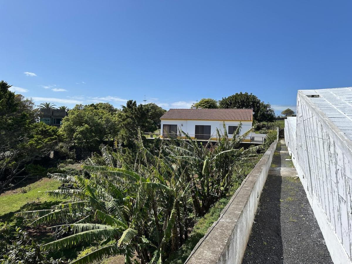 Quinta Ananas Pineapple Farm Ponta Delgada