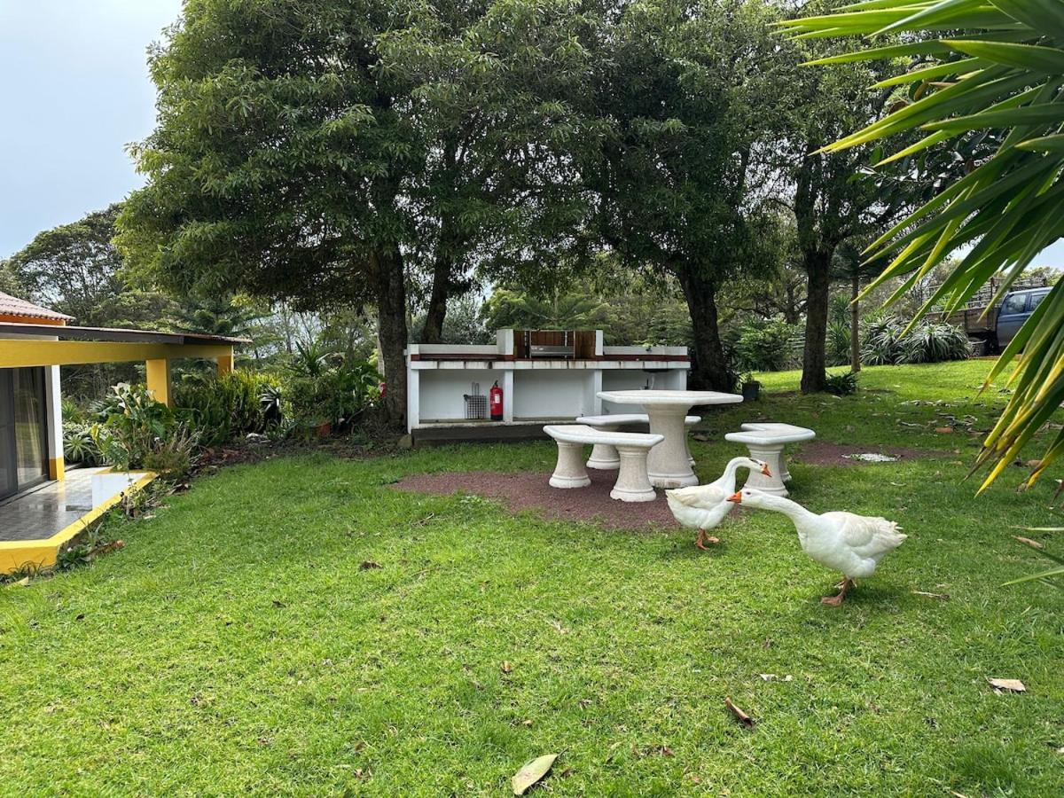 Quinta Ananas Pineapple Farm * Ponta Delgada