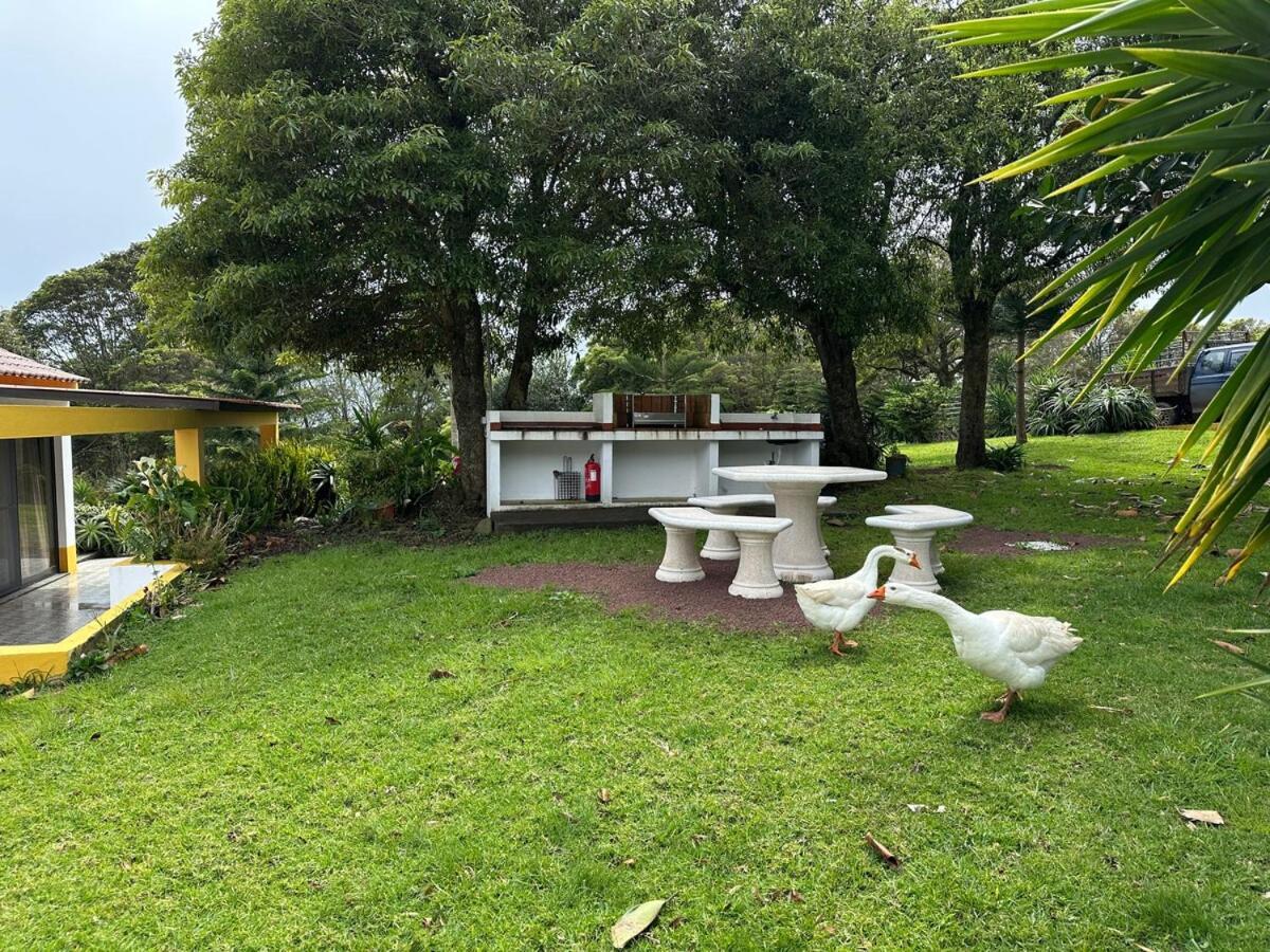 Quinta Ananas Pineapple Farm Villa *