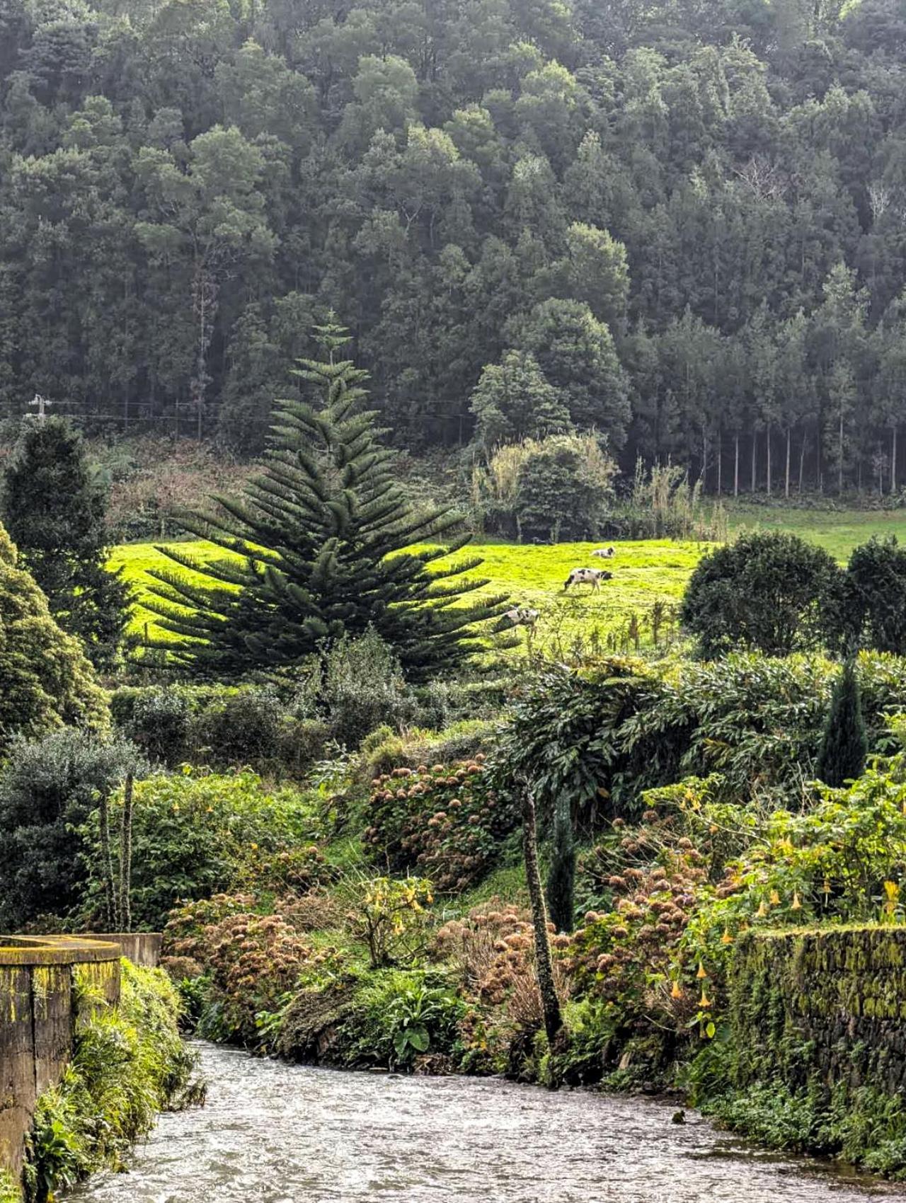 Vale 2* Furnas (Azores)
