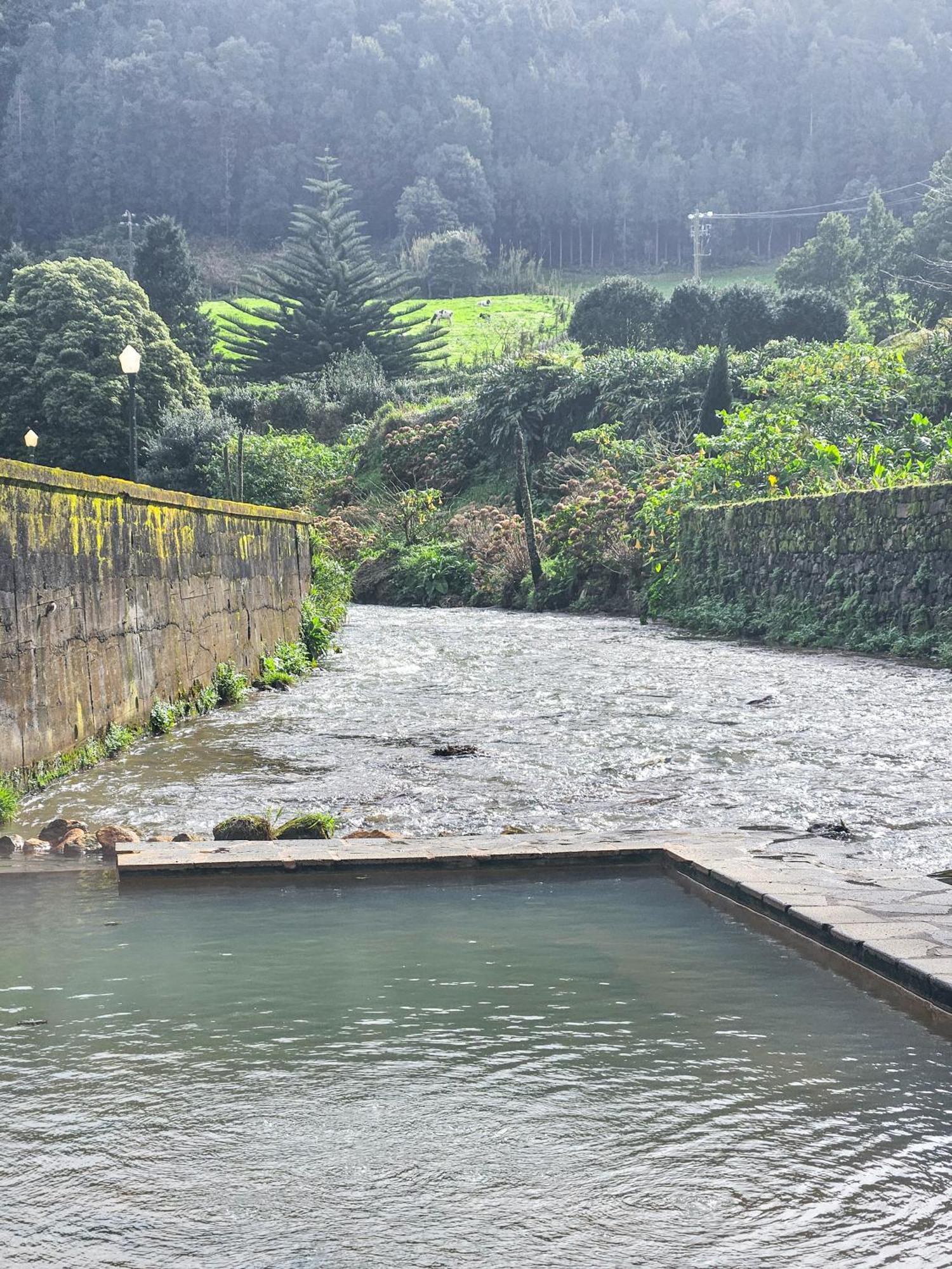 Vale Furnas (Azores)