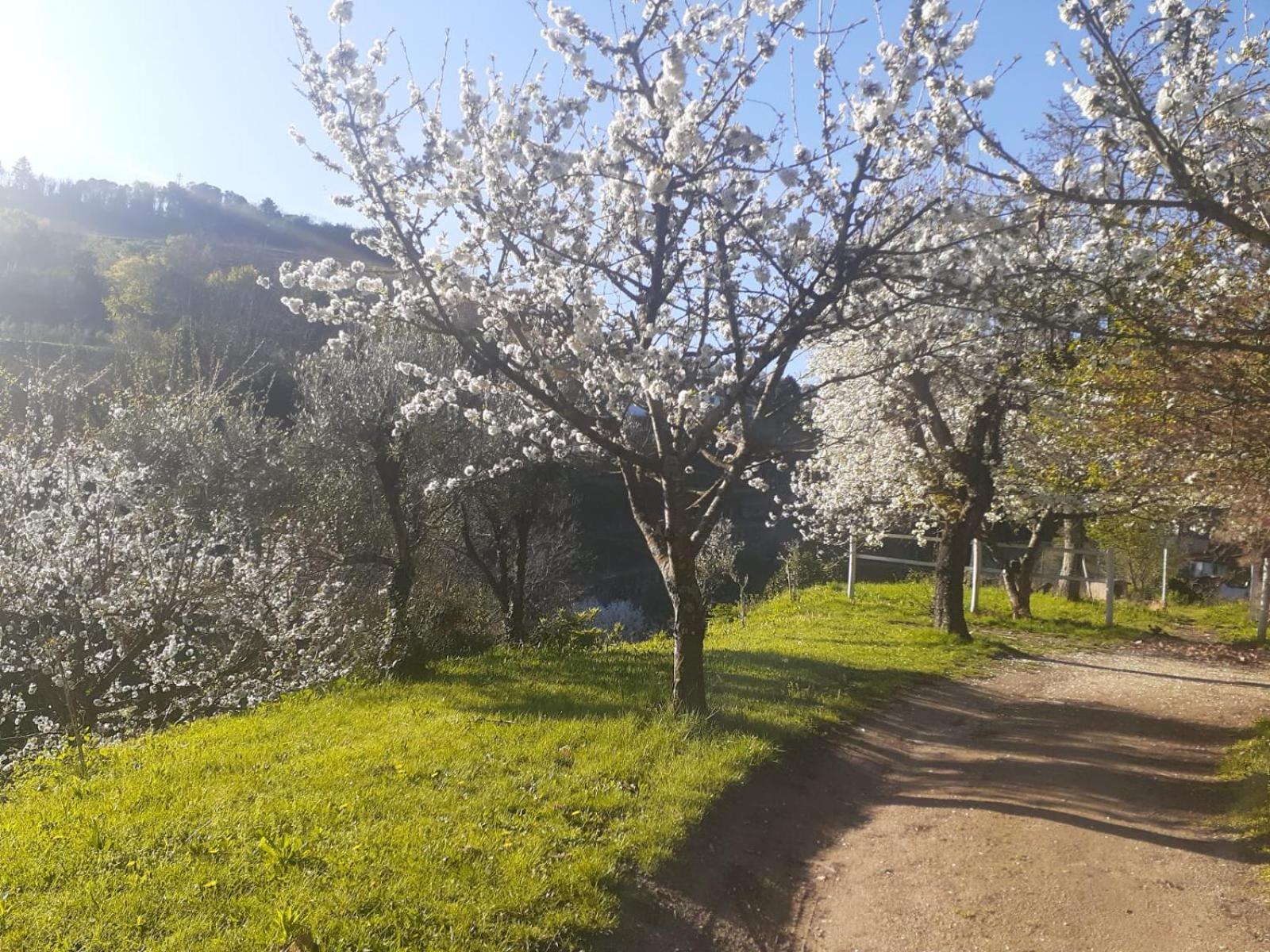 Farm stay Quinta Dos Carvalhos The Wine House Farm In Center Of - Capital Of The Douro Lamego