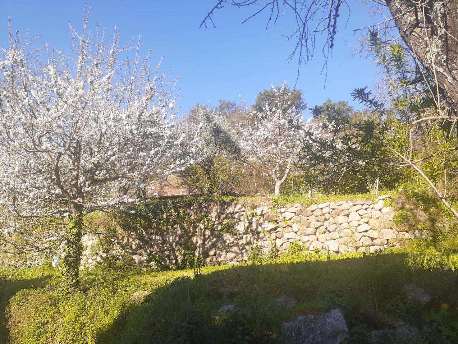 Quinta Dos Carvalhos The Wine House Farm In Center Of - Capital Of The Douro * Lamego
