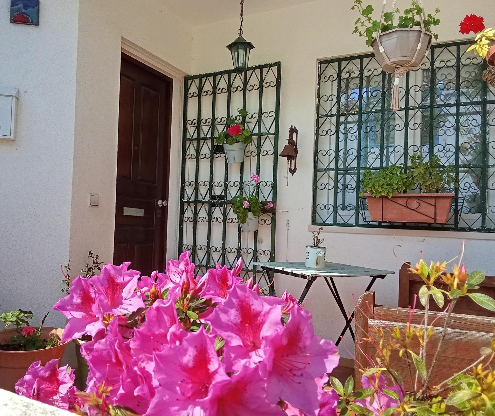 Homestay Cintra *