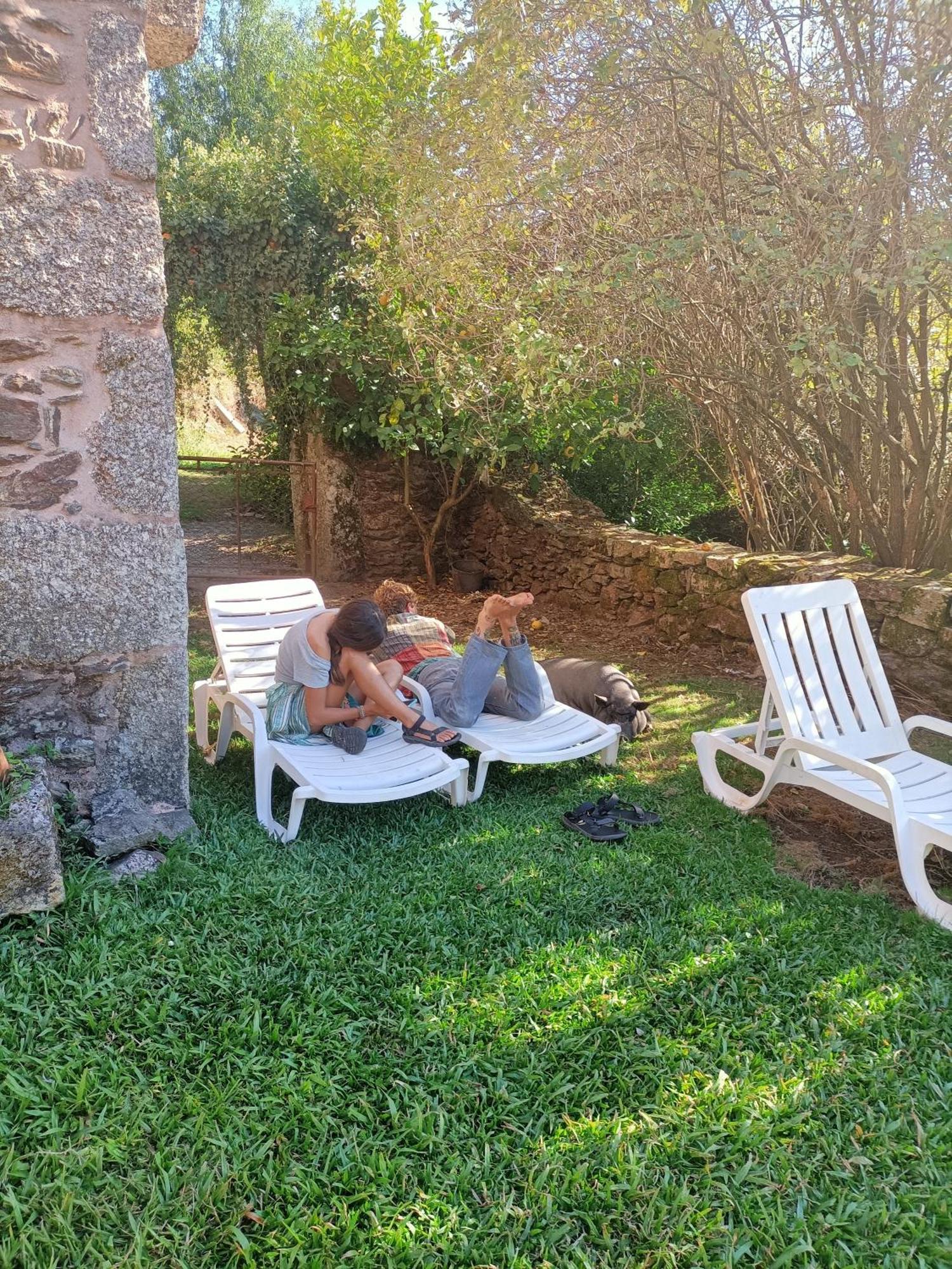 Country house Agrofarm With Animals - Qta Entre Sebes