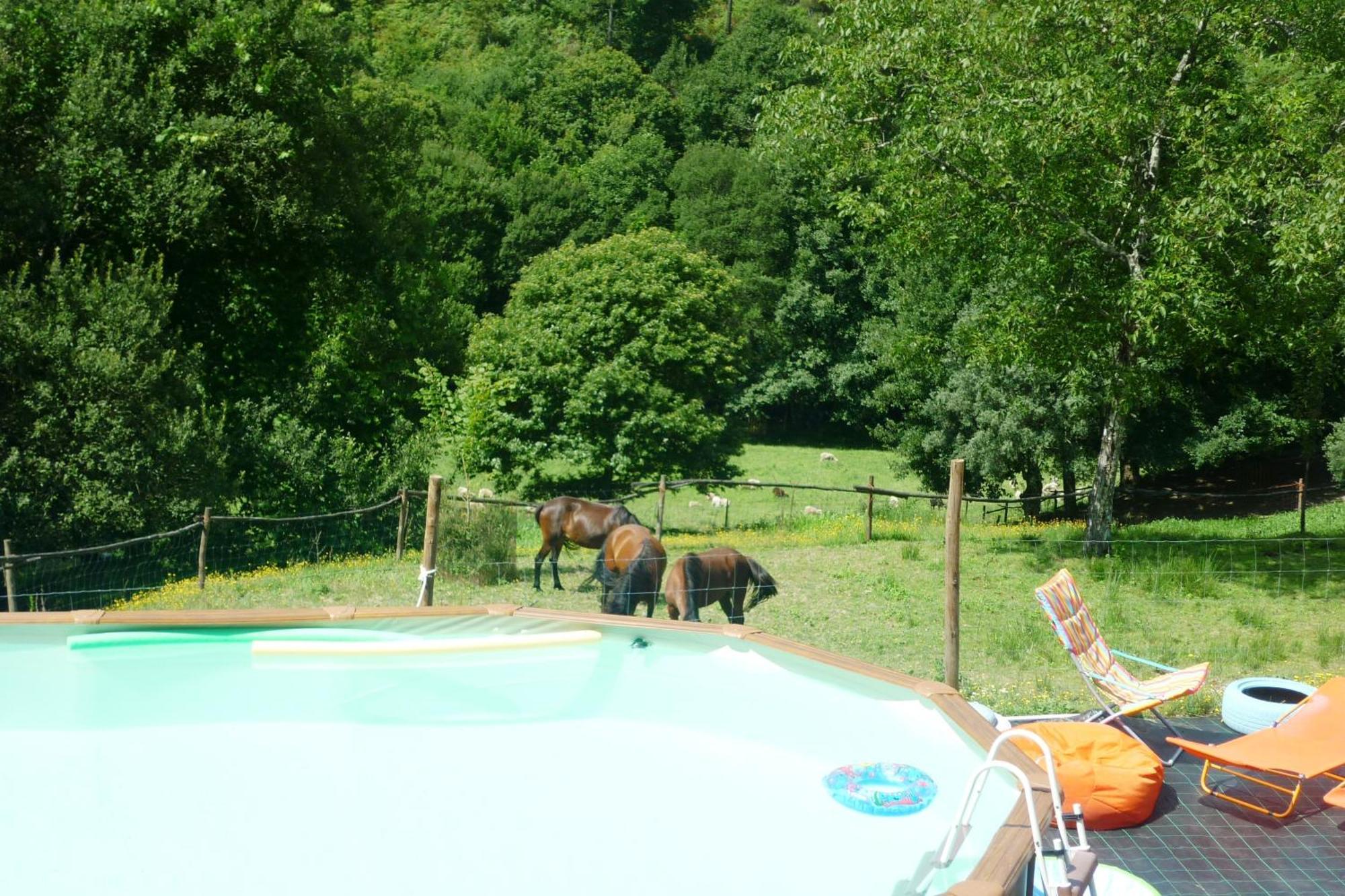Agrofarm With Animals - Qta Entre Sebes Casa rural Cabeceiras de Basto