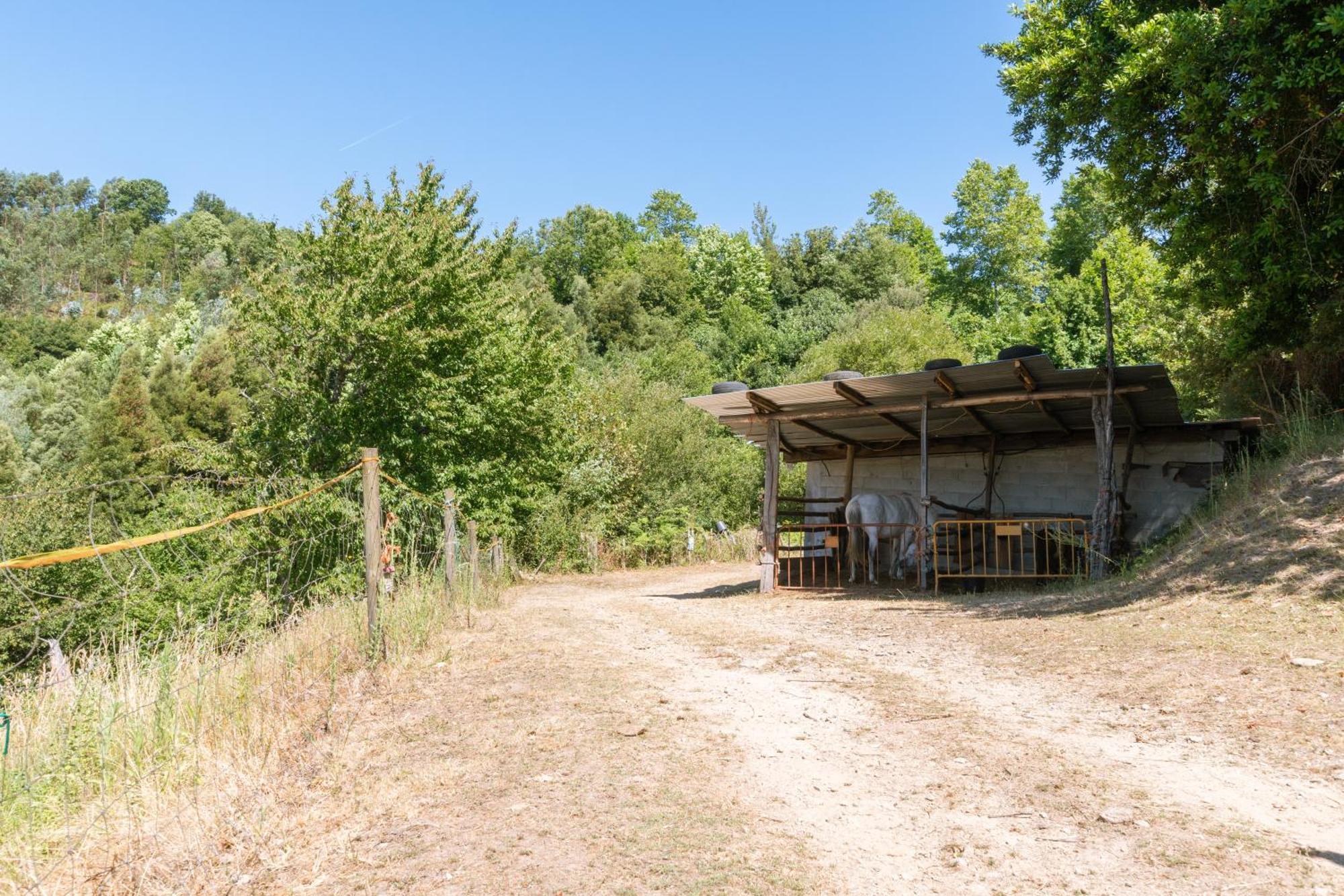 Casa rural Agrofarm With Animals - Qta Entre Sebes Cabeceiras de Basto