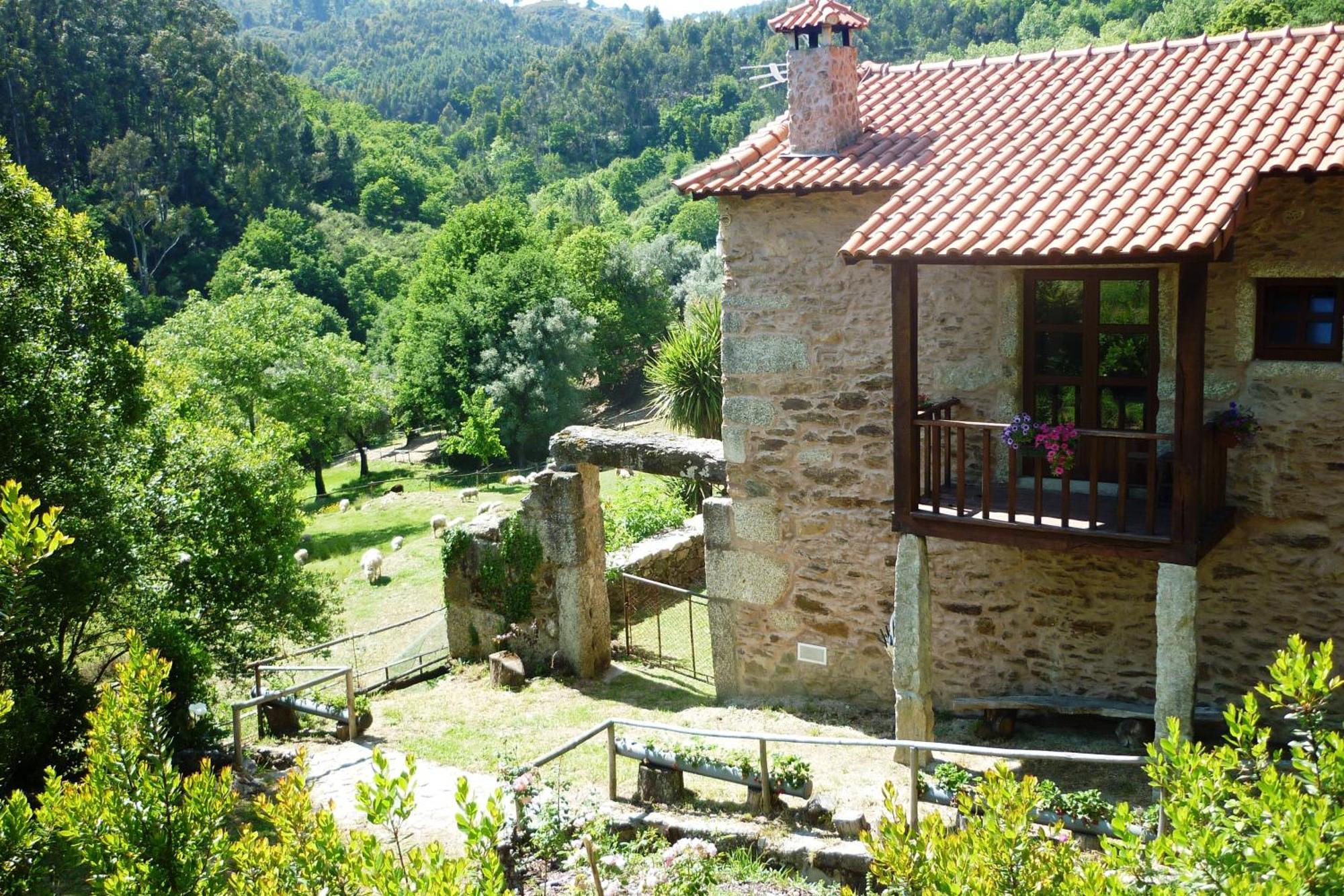 Agrofarm With Animals - Qta Entre Sebes * Cabeceiras de Basto