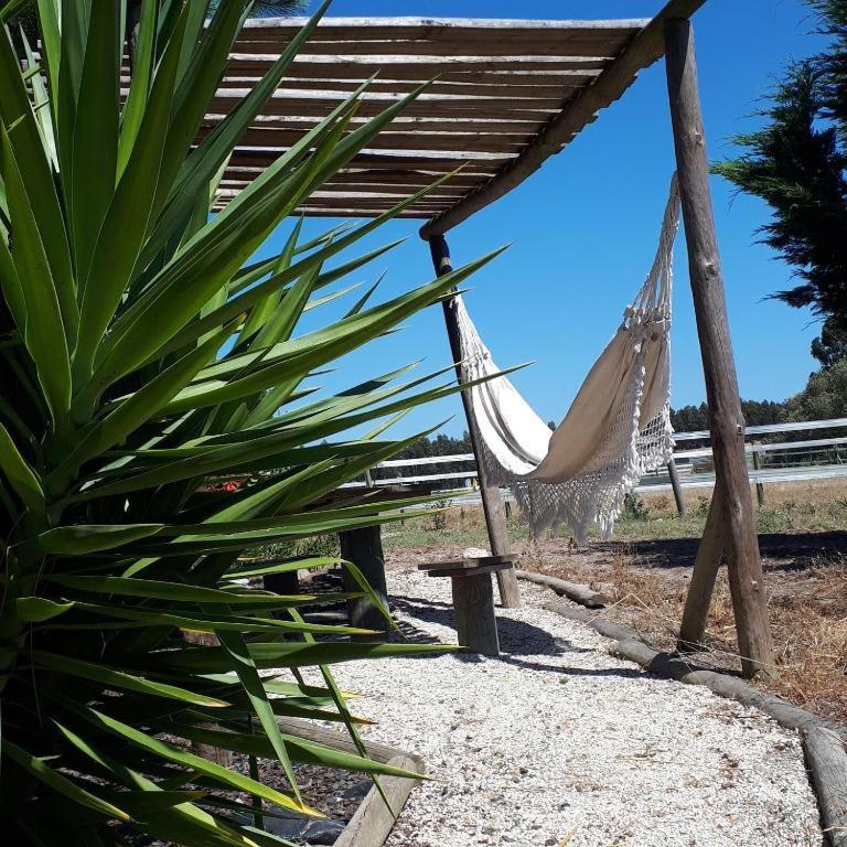 Setequintas Farm stay *