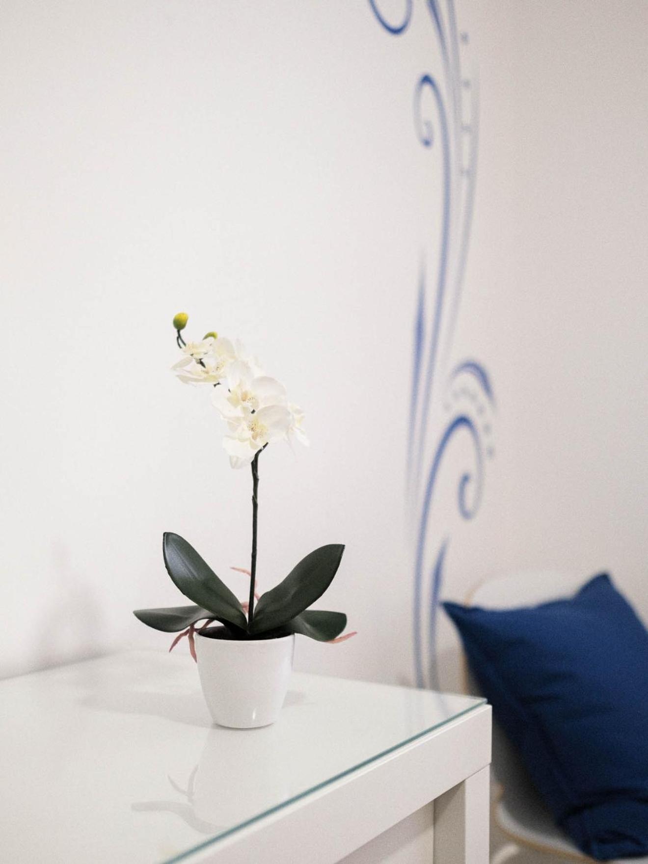 Cazenn - Z Apartment