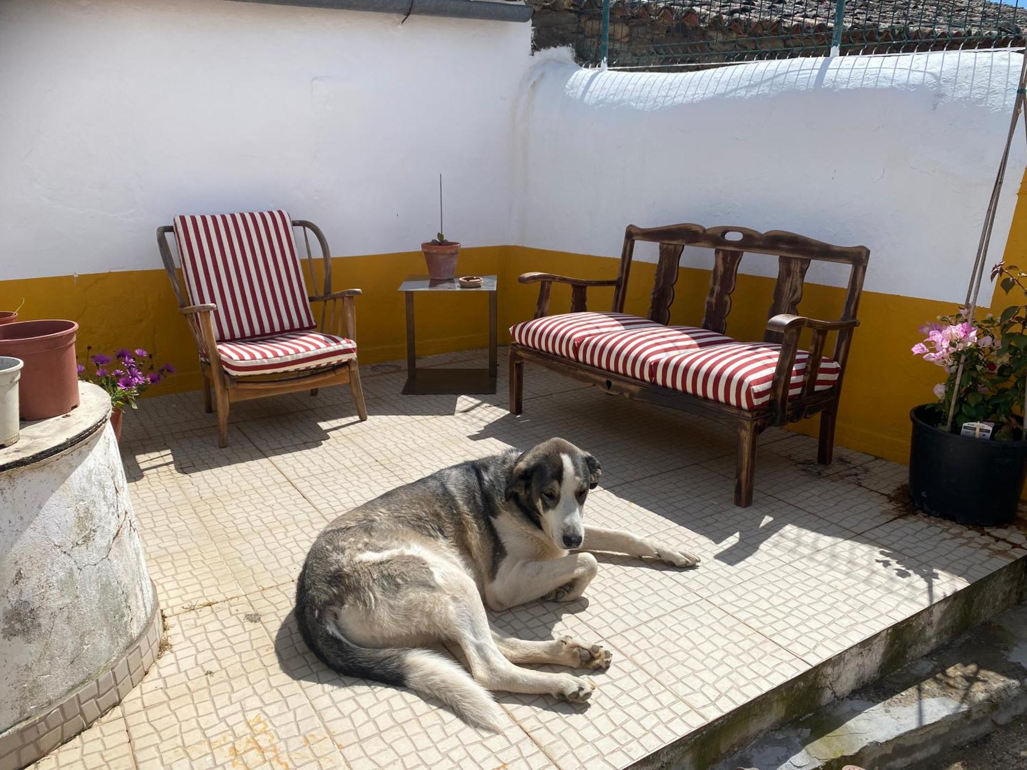Comfortable In The Hills Of Serra Do Caldeirao * Almodovar