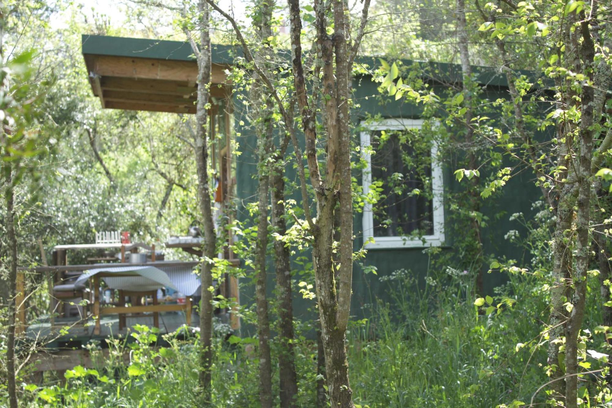 Hidden Forest Retreat Campsite Carvoeira