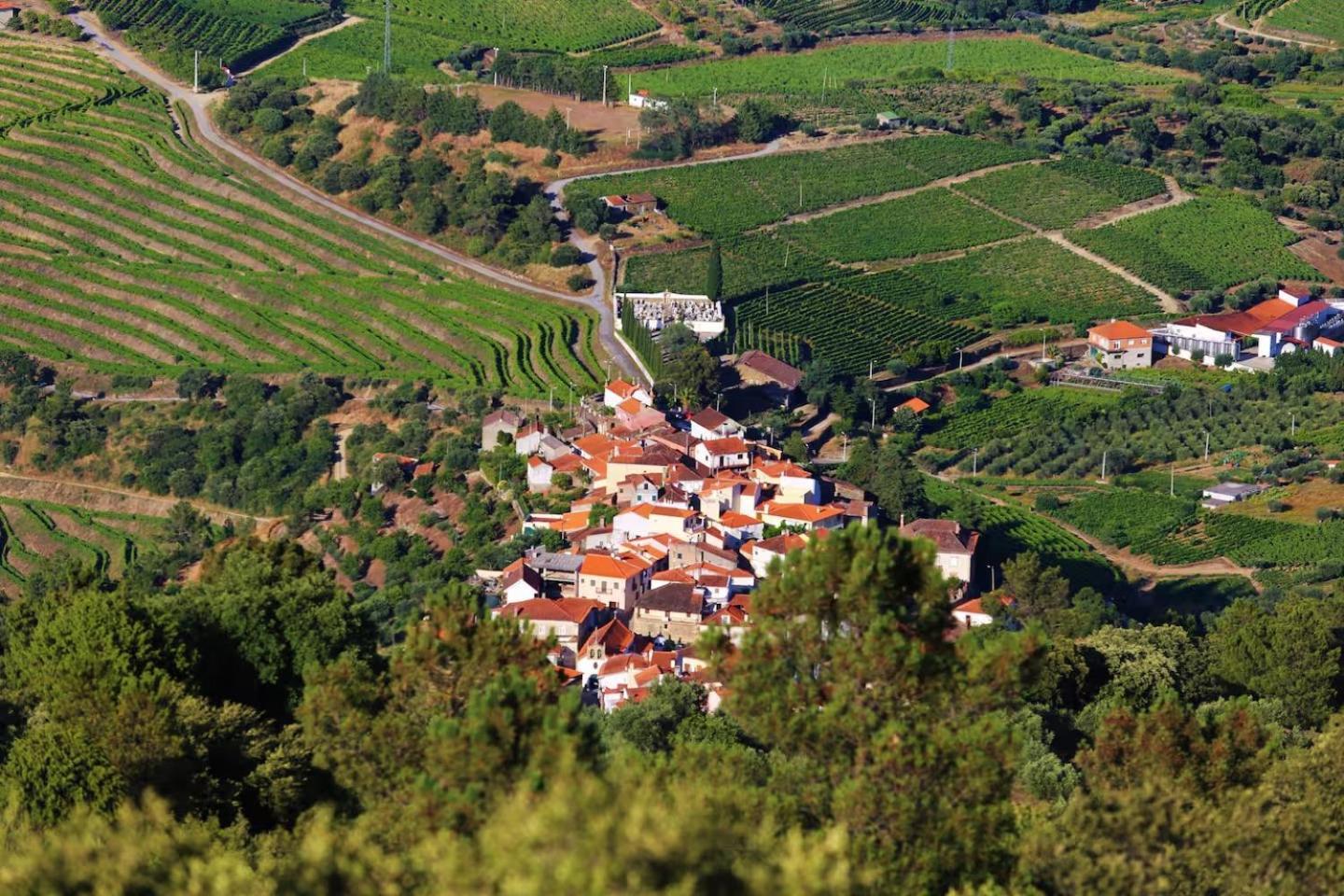 Babhouse Casa Abelhas - Coracao Do Douro São João da Pesqueira