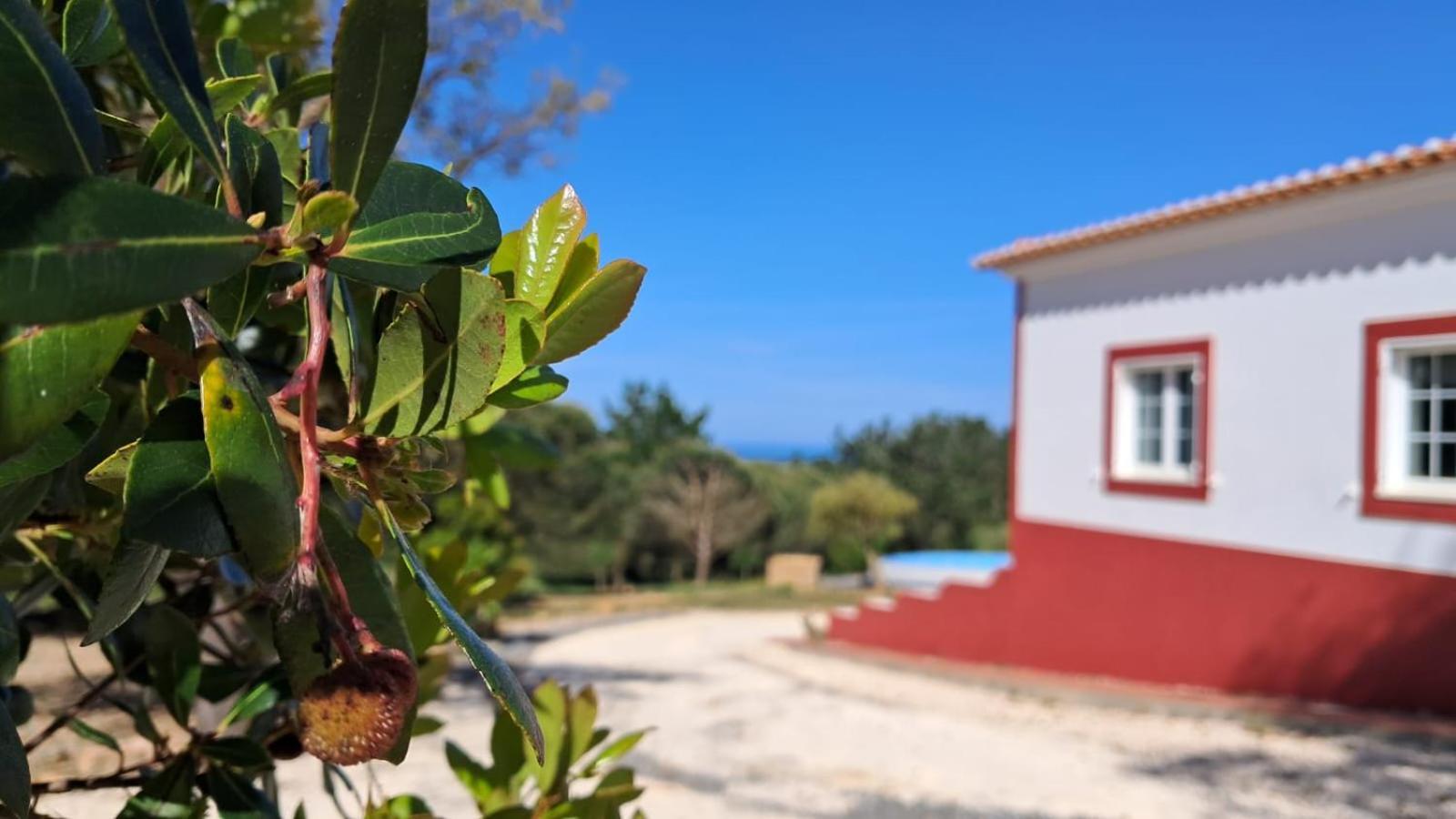 Monte Da Silveira Pensión