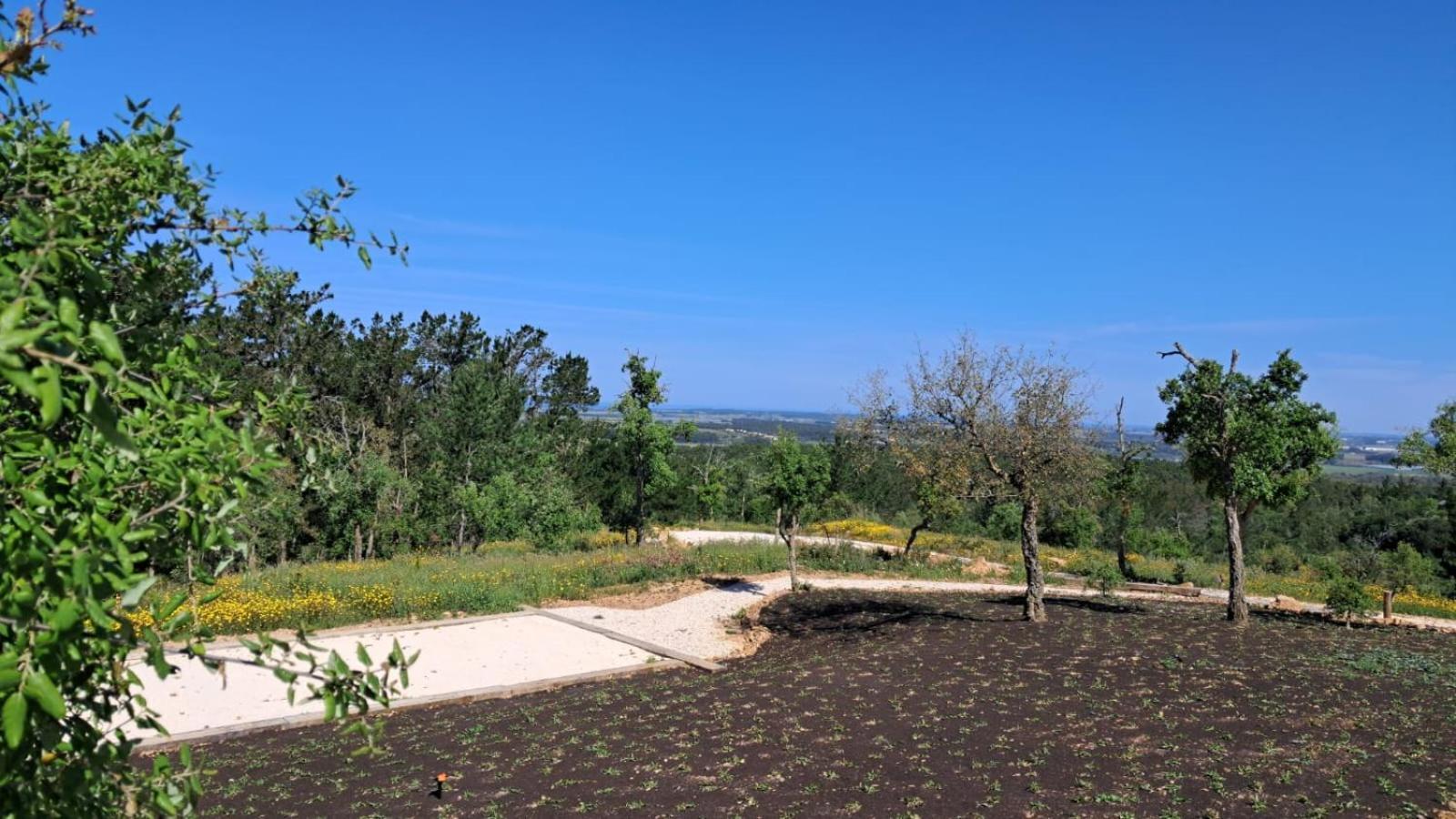 Monte Da Silveira