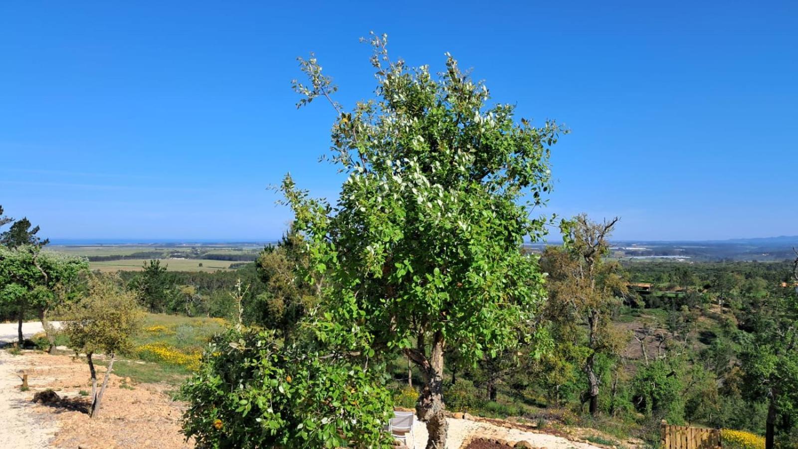 Pensión Monte Da Silveira