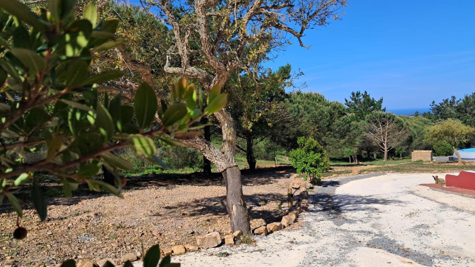 Pensión Monte Da Silveira São Teotónio