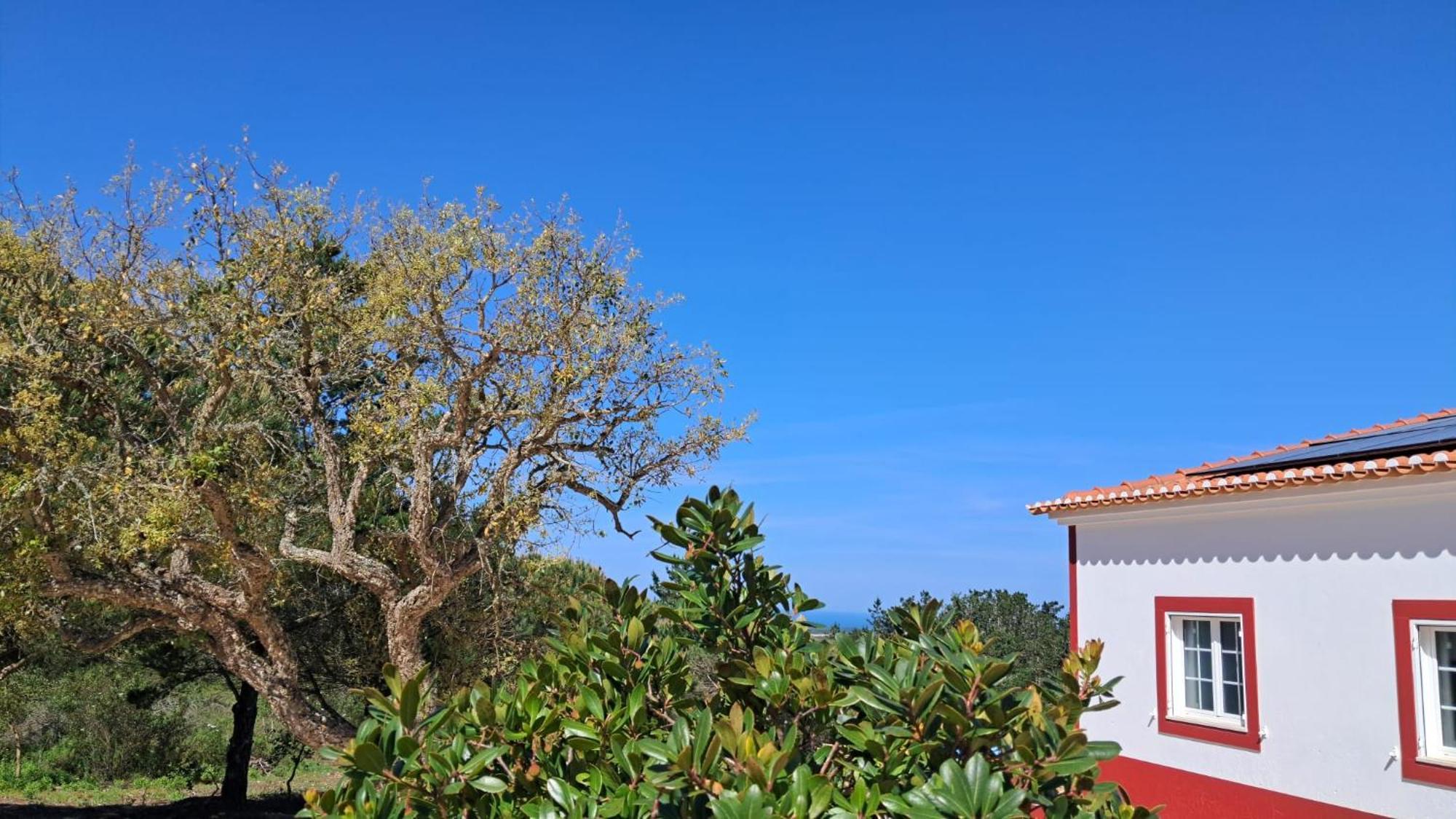 Monte Da Silveira *