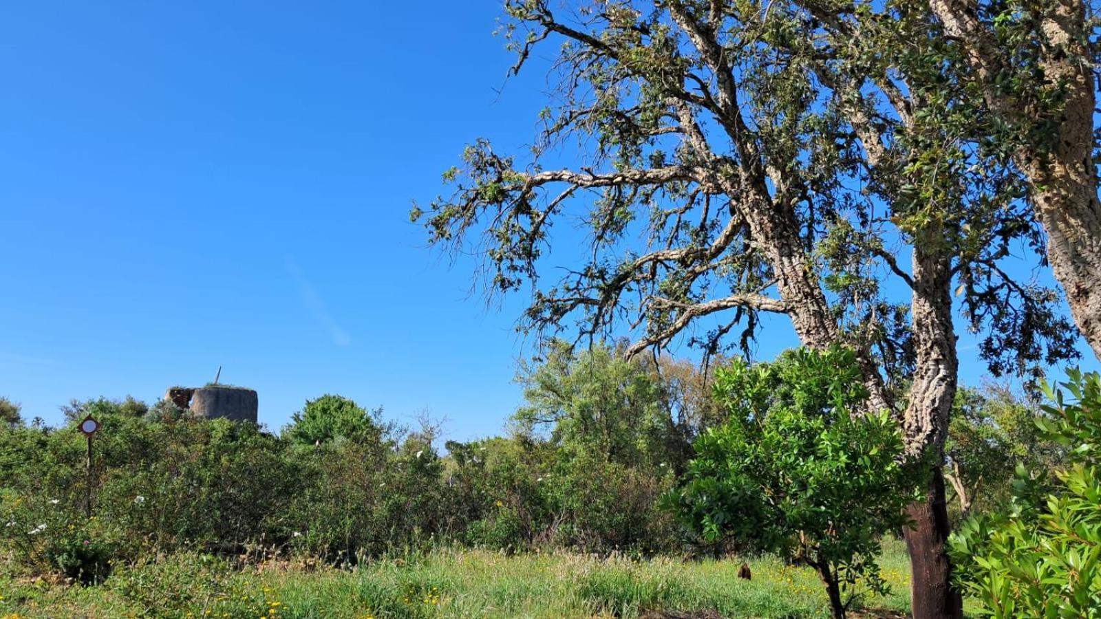 Monte Da Silveira São Teotónio