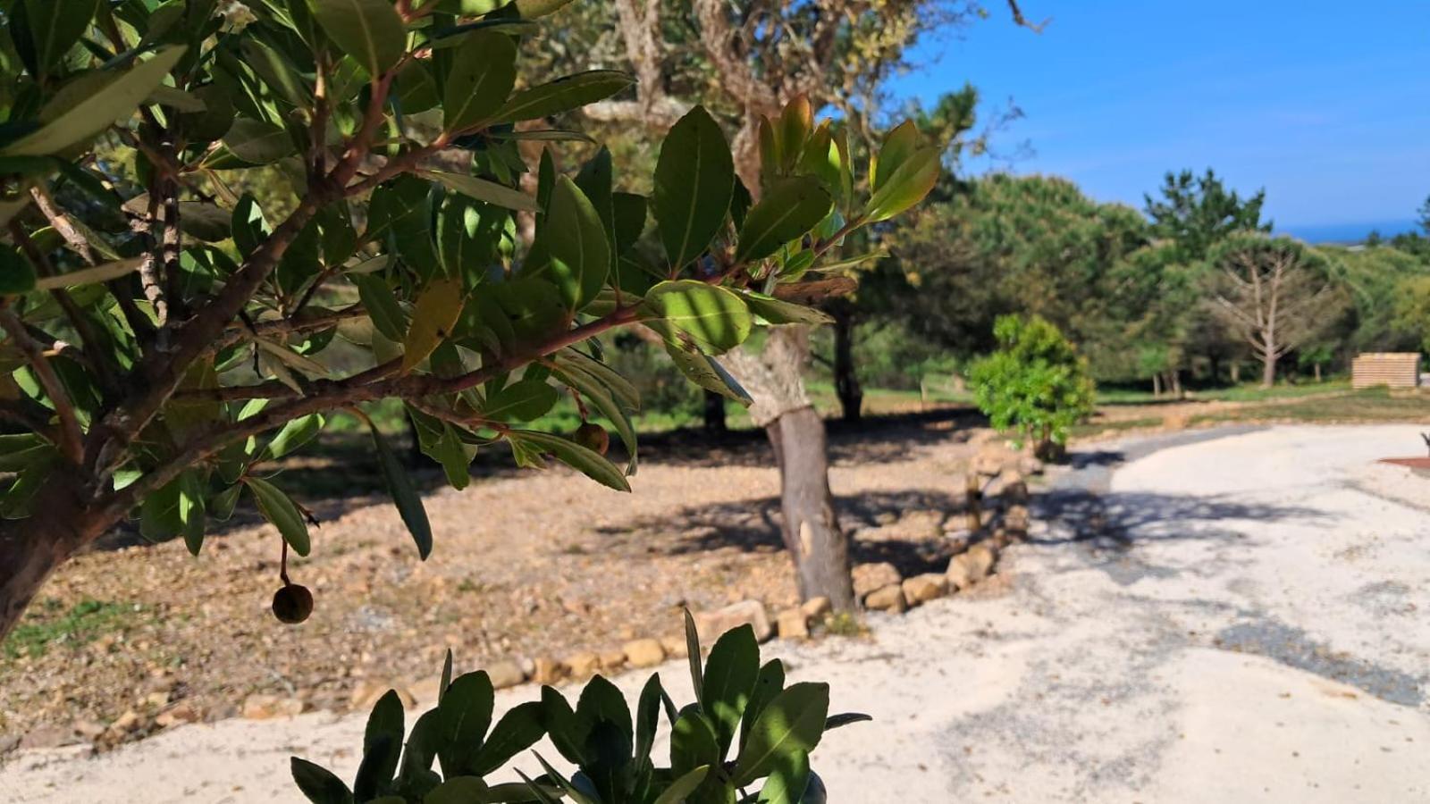 Monte Da Silveira São Teotónio