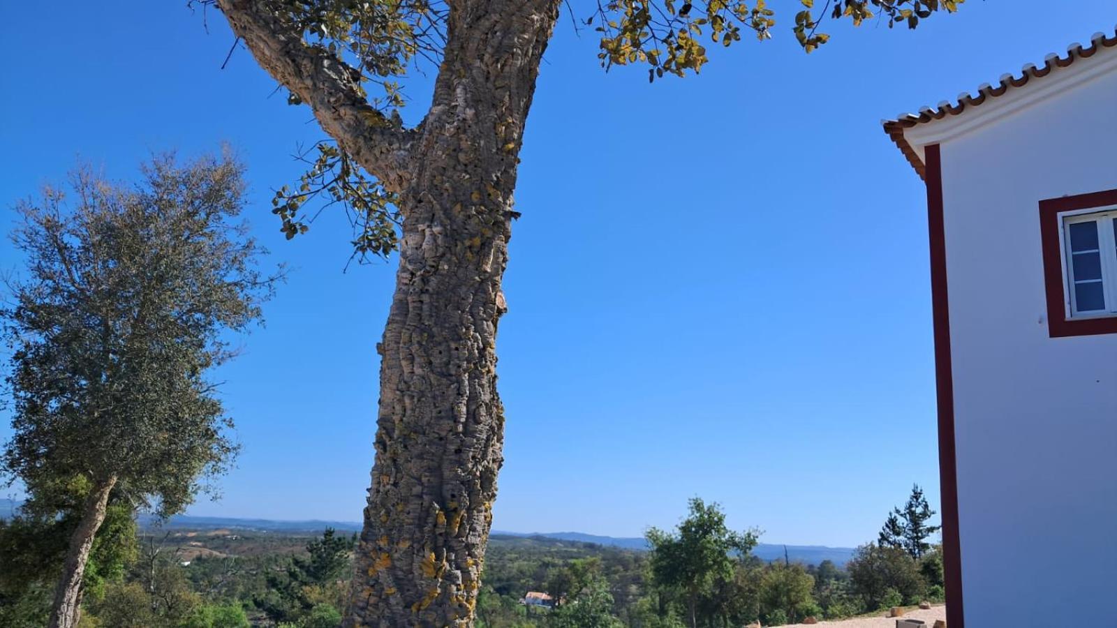 Monte Da Silveira