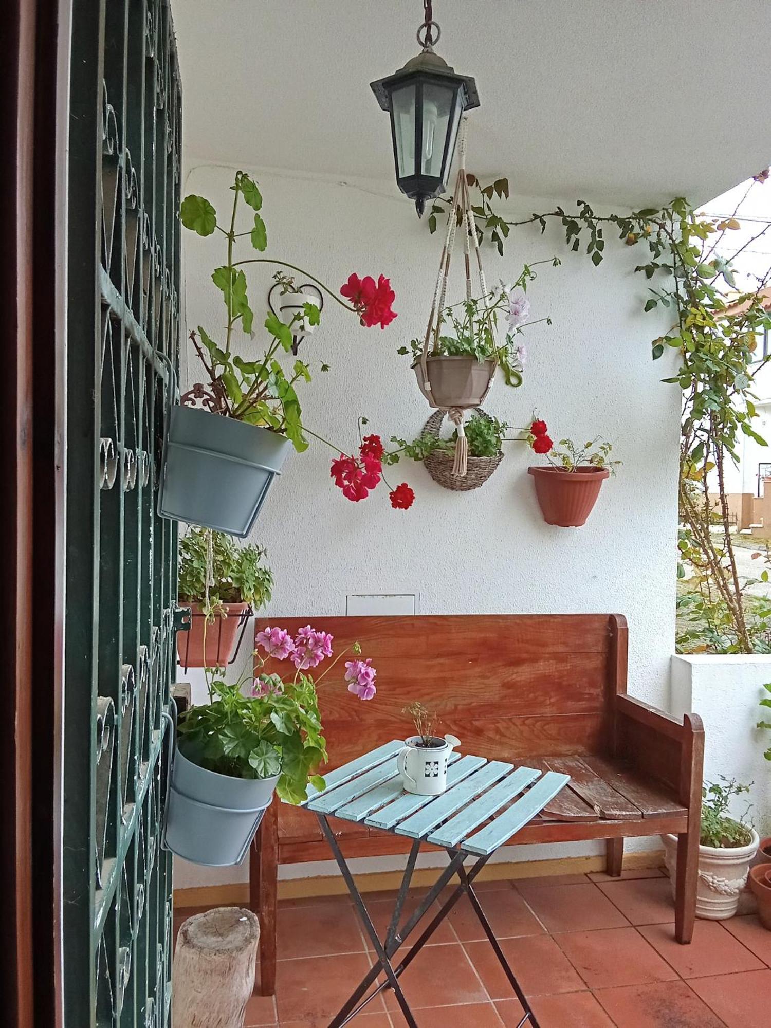 Cintra Homestay *