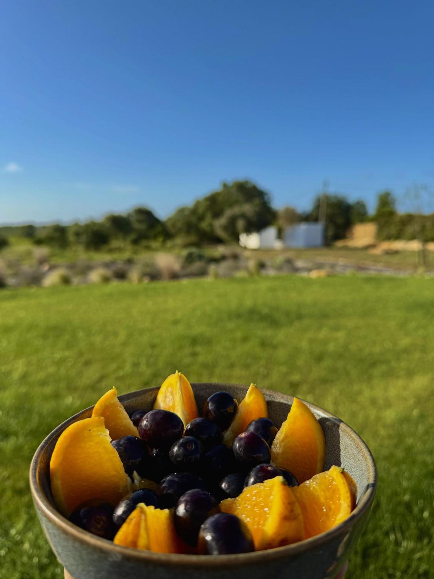 Farm stay Lobos Tavira