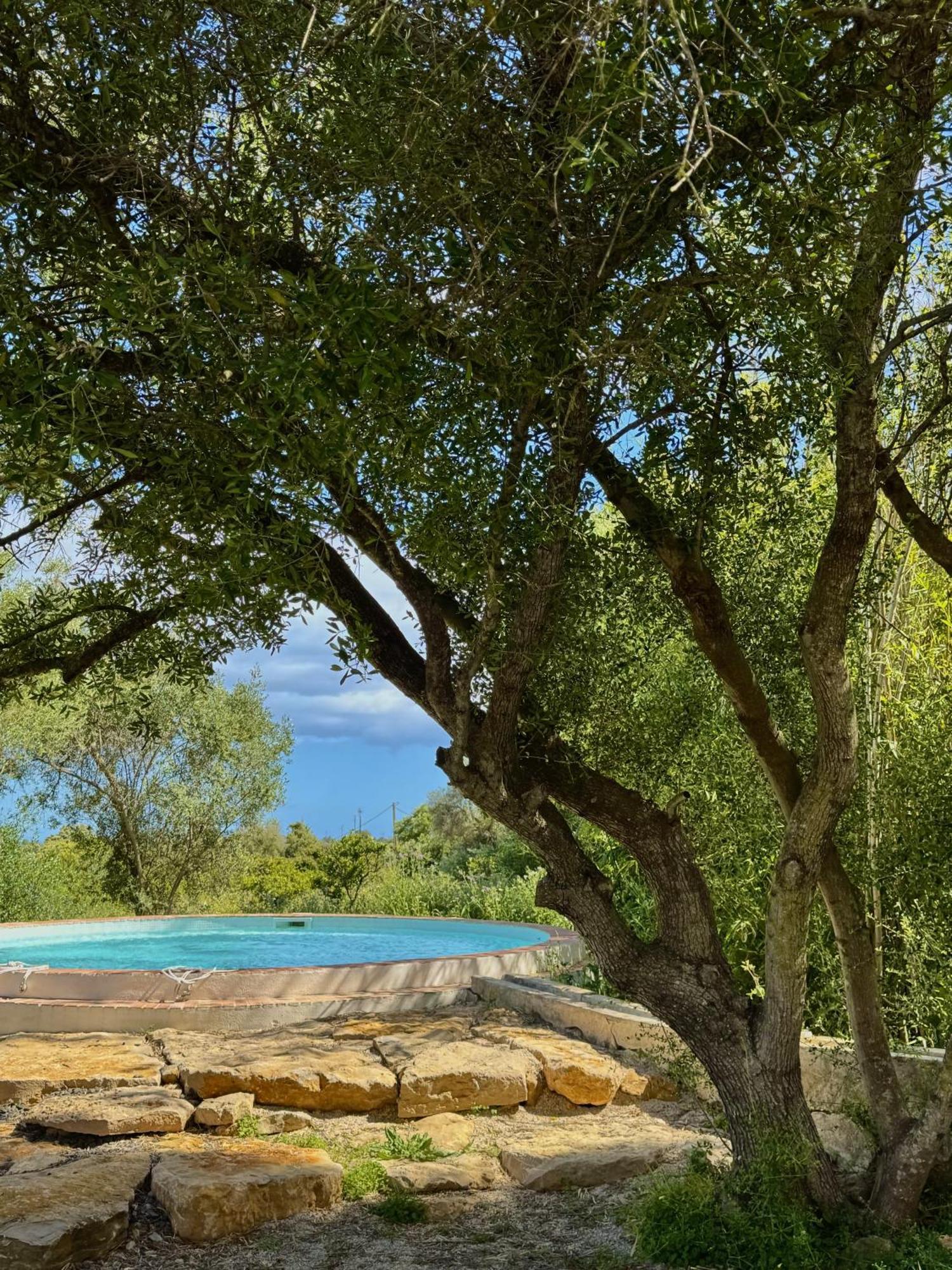Lobos Farm stay Tavira