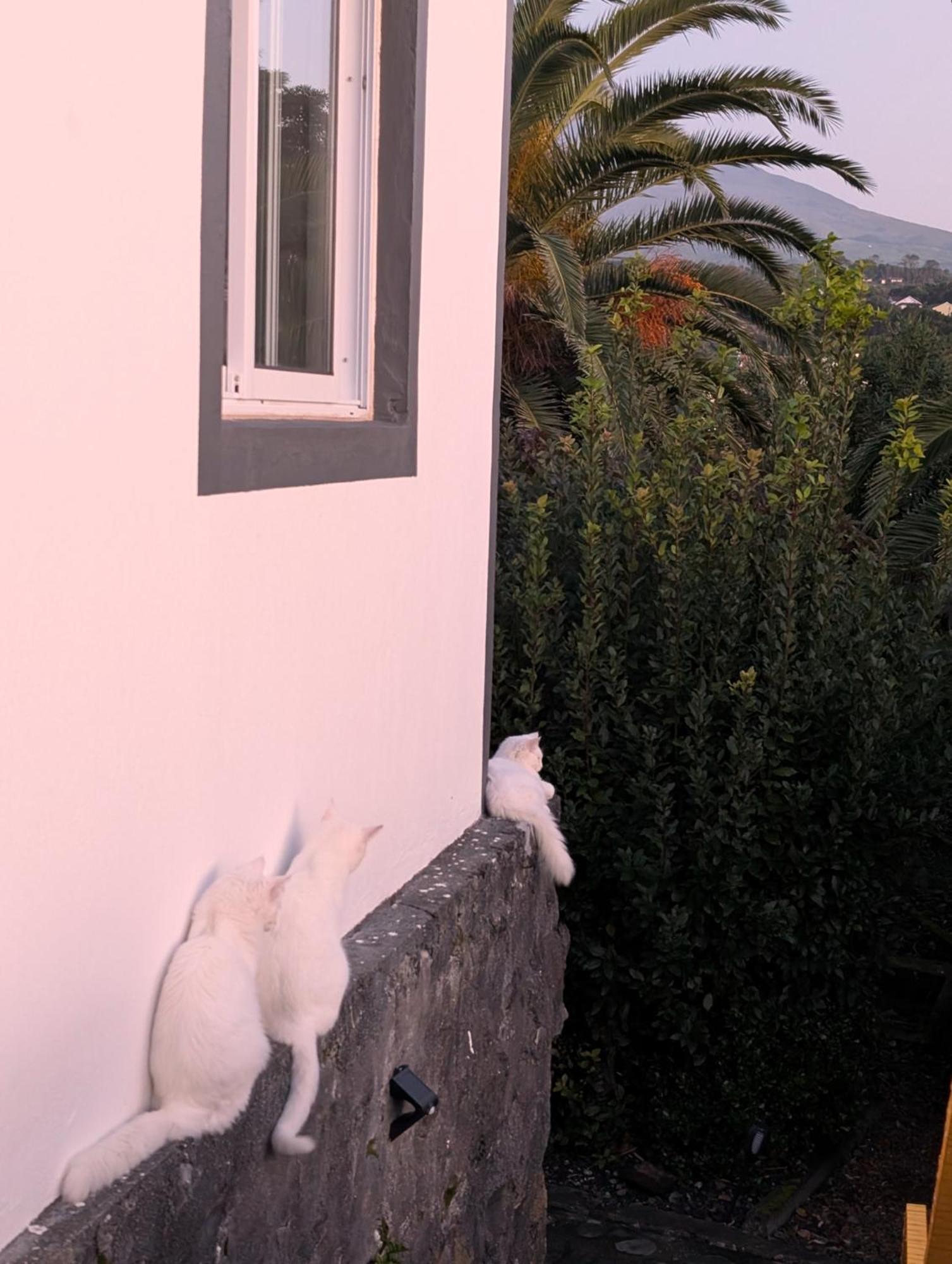 Loving Strangers Albergue
