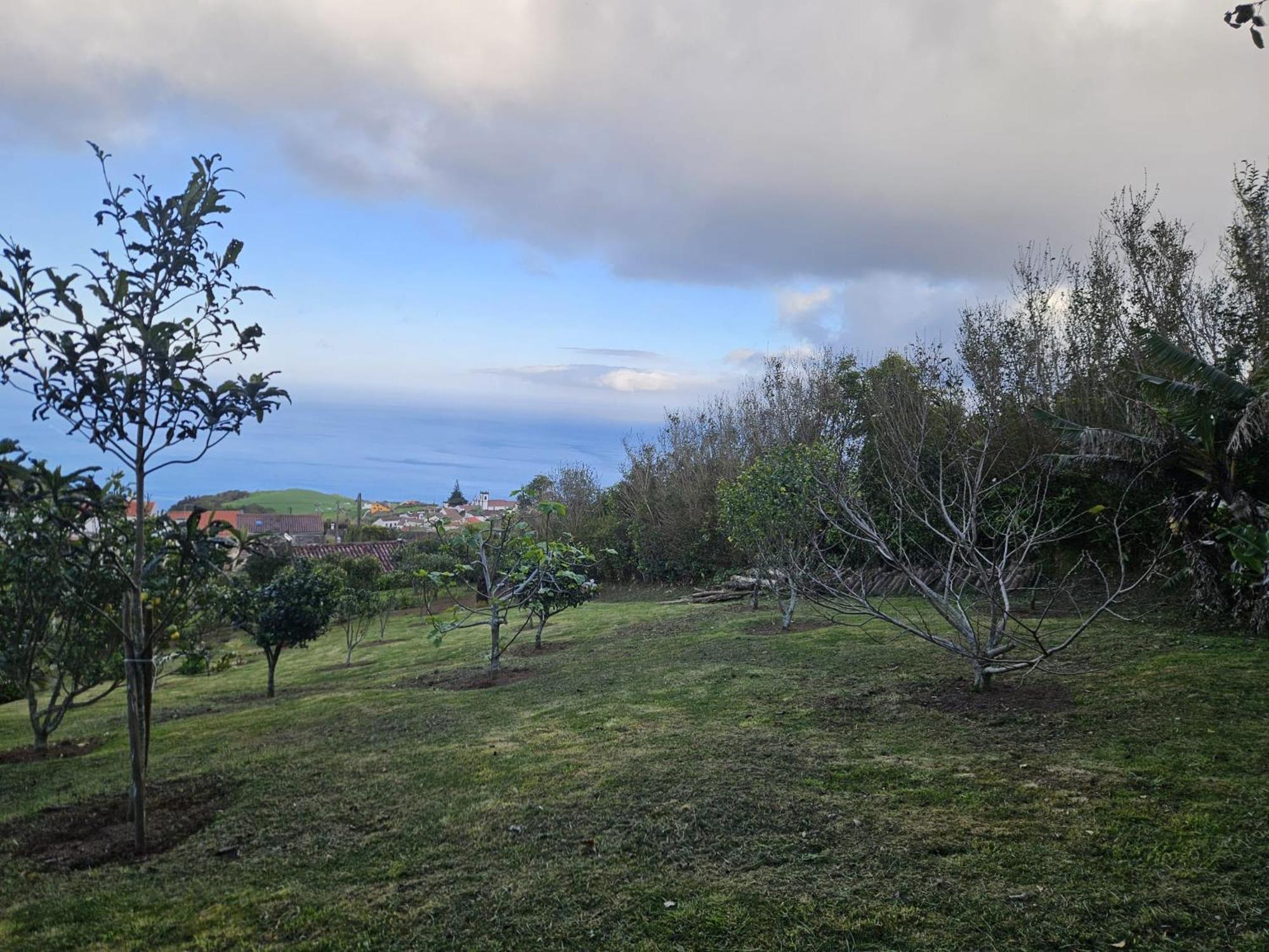 Casa Do Castanheiro - Nordeste, Acores * Nordeste (Azores)