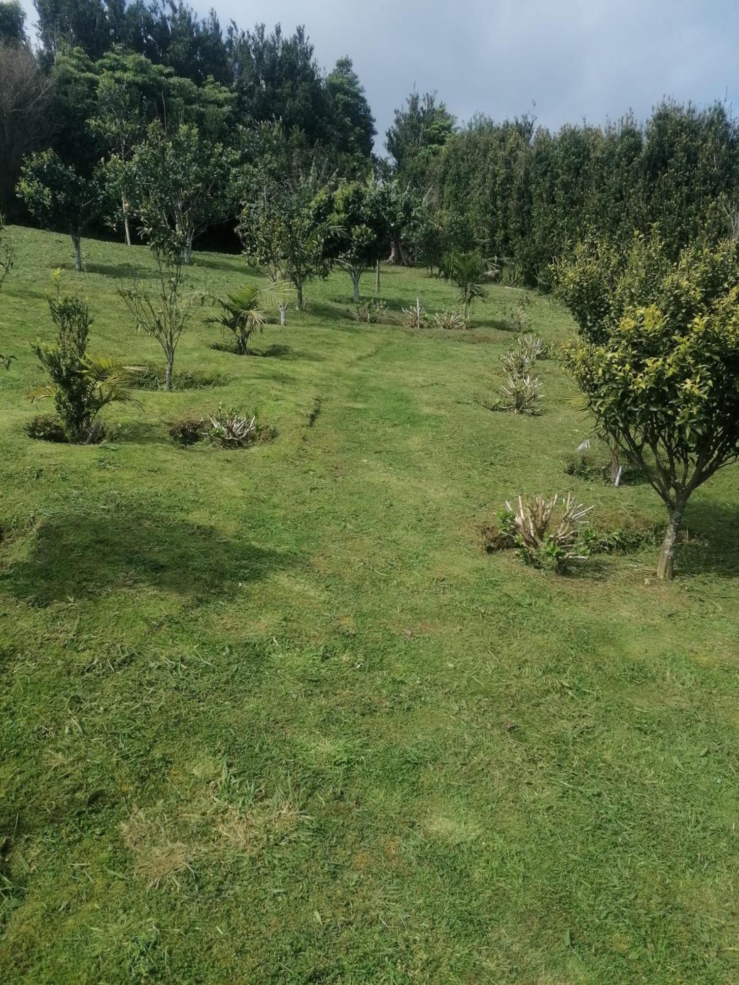 Casa Do Castanheiro - Nordeste, Acores Chalet Nordeste (Azores)