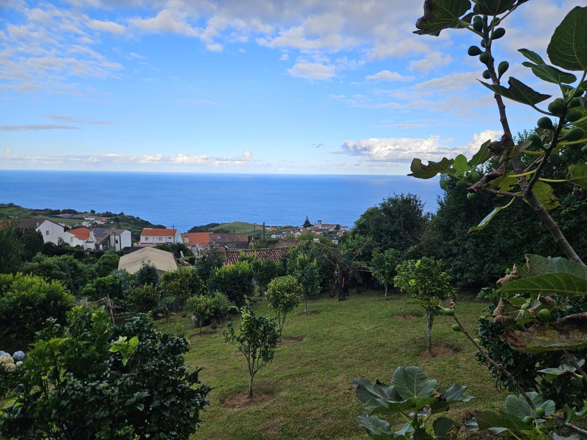 Casa Do Castanheiro - Nordeste, Acores
