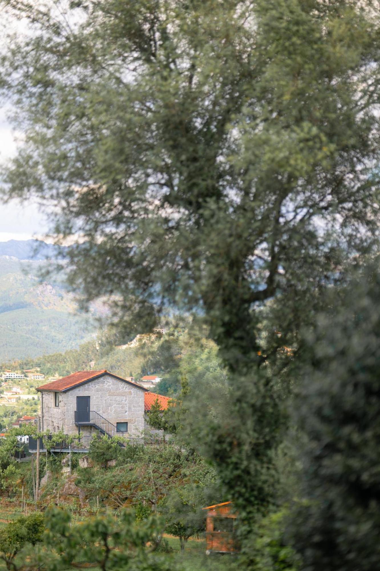 Quinta De Calvelos Farm stay
